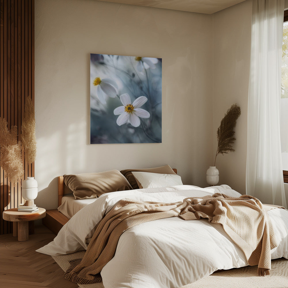 Cosmos | Canvas