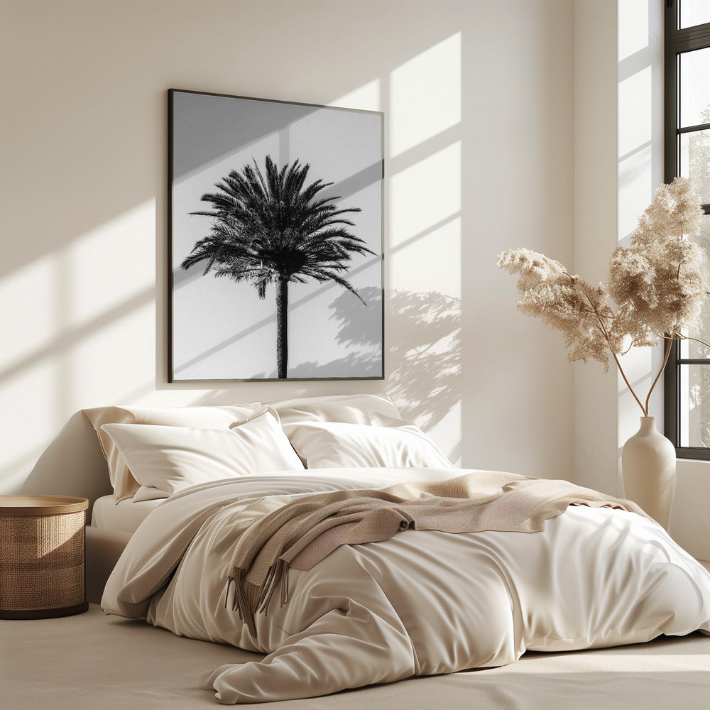 Palm_003 | Poster