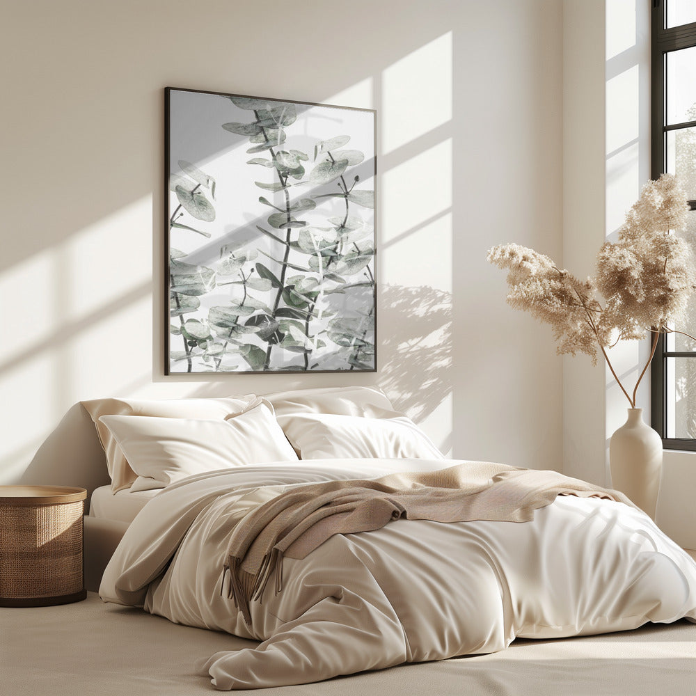 Eucalyptus_001 | Poster