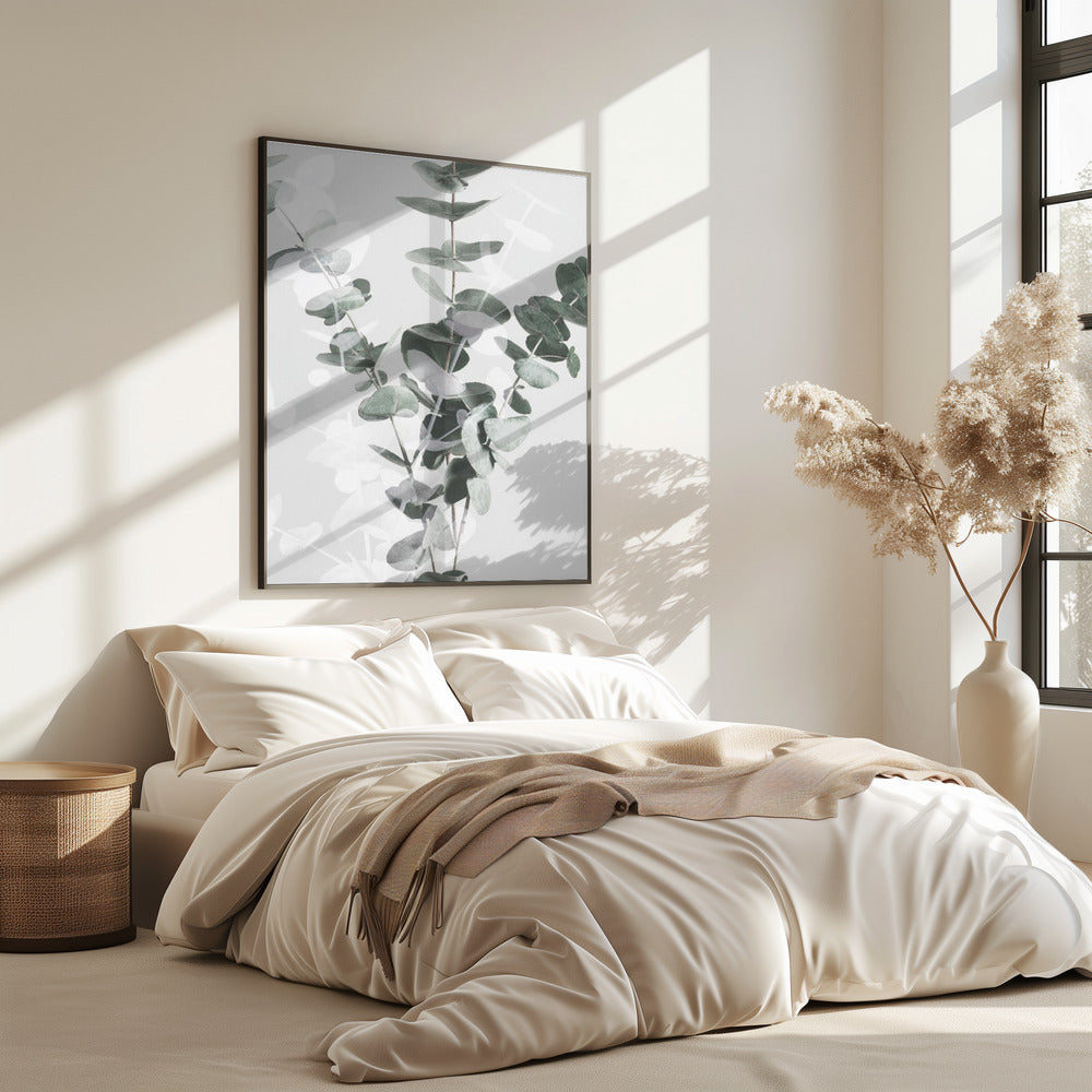 Eucalyptus_002 | Poster