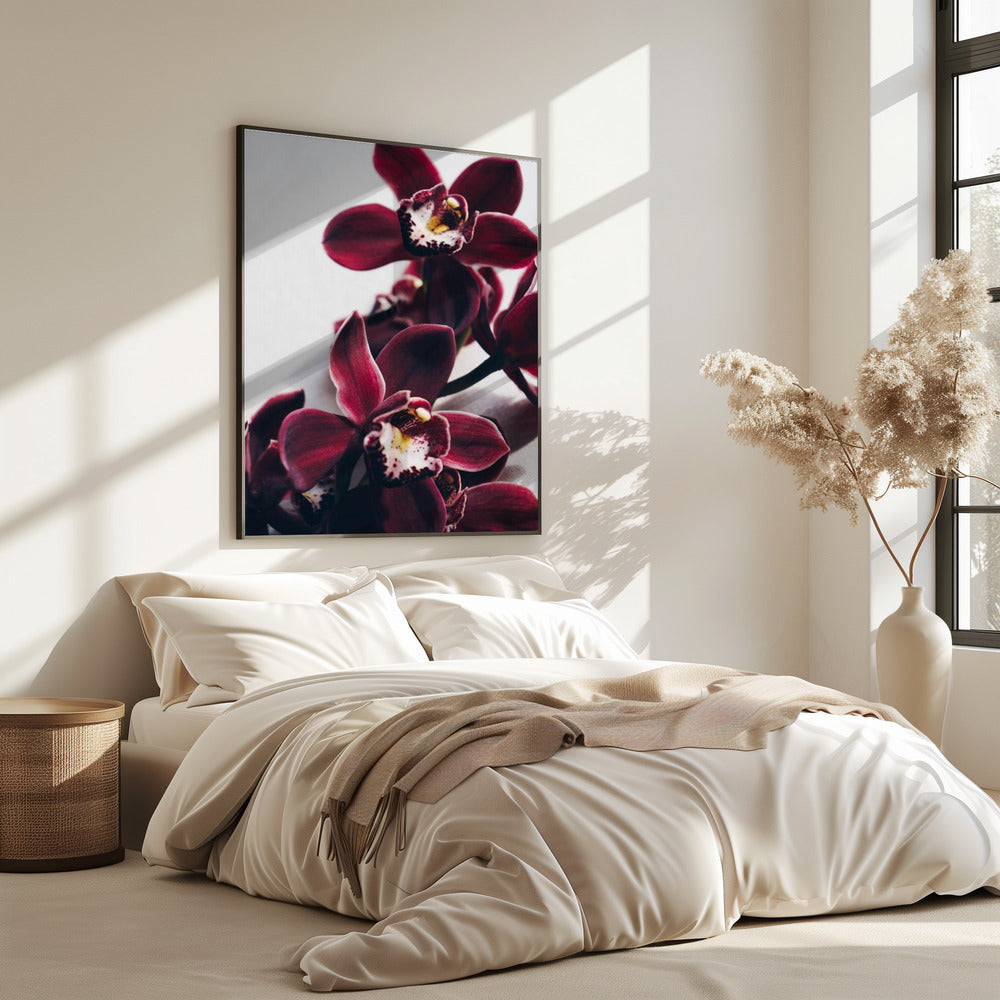 Samt-Orchidee-Dämmerung | Poster