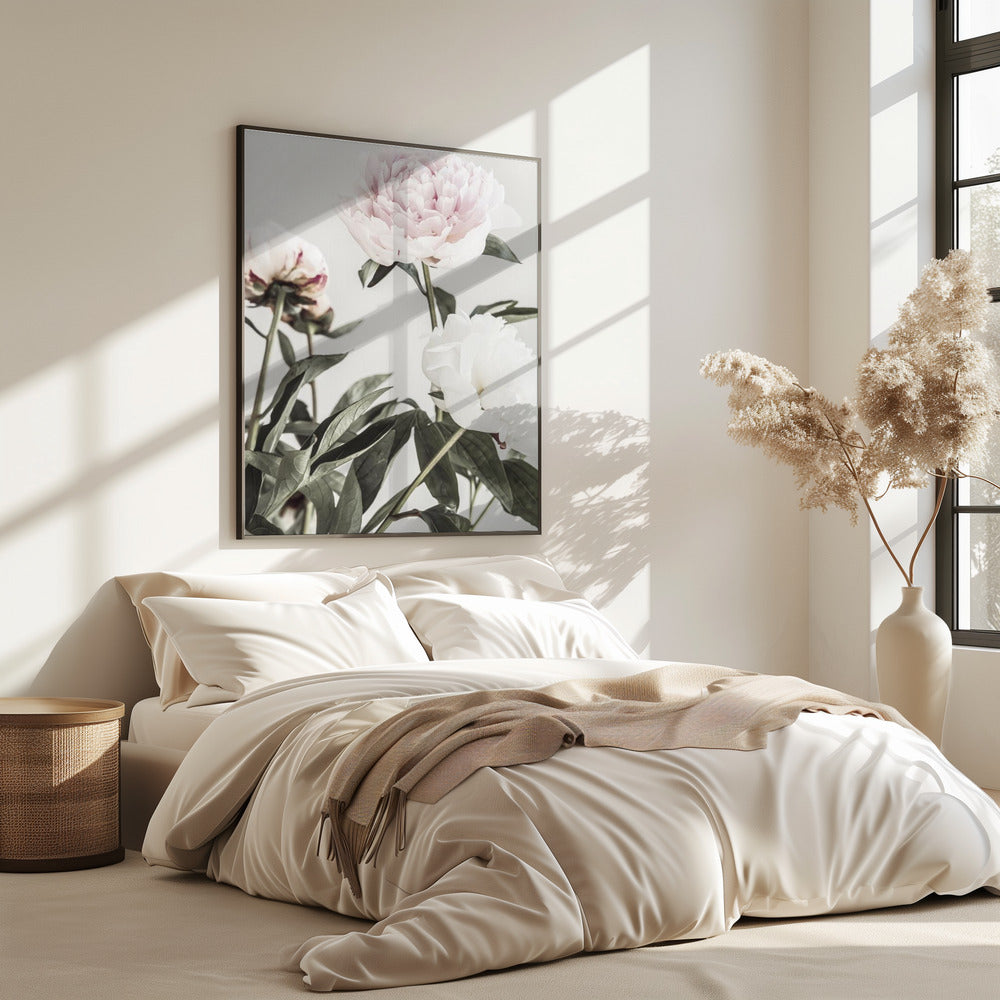 Peony 04 | Poster