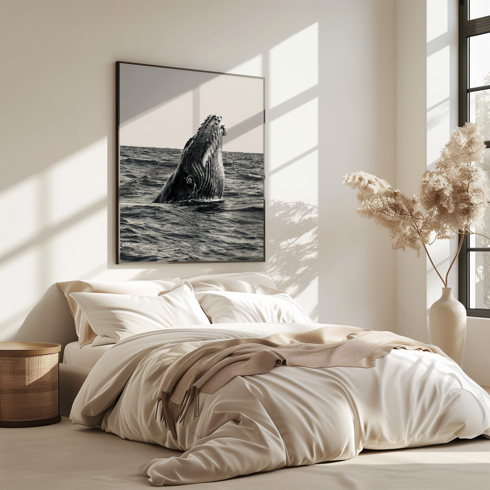 Das Geheimnis des Wals | Poster