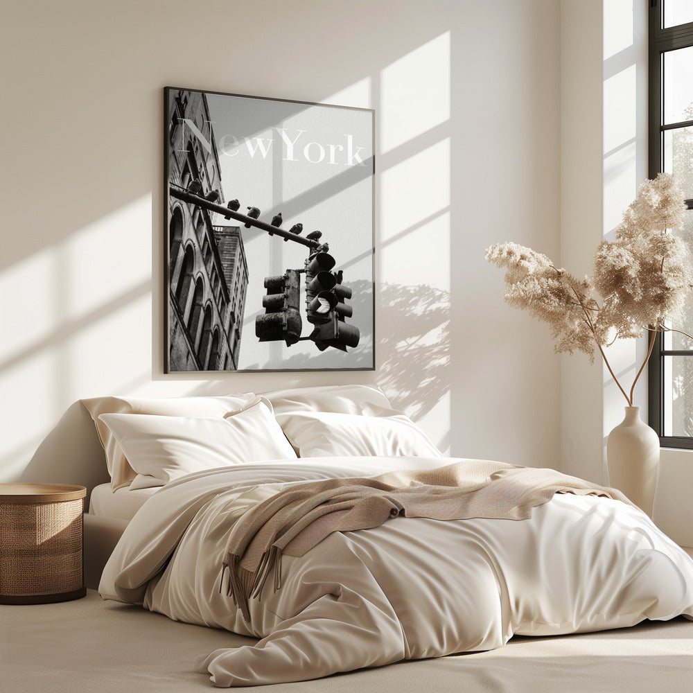 NYC Tauben | Poster