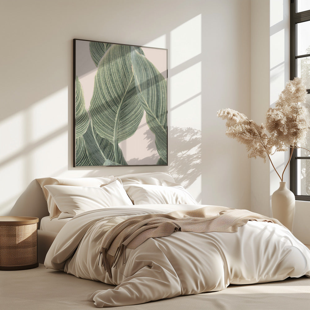 Calla-Blatt | Poster