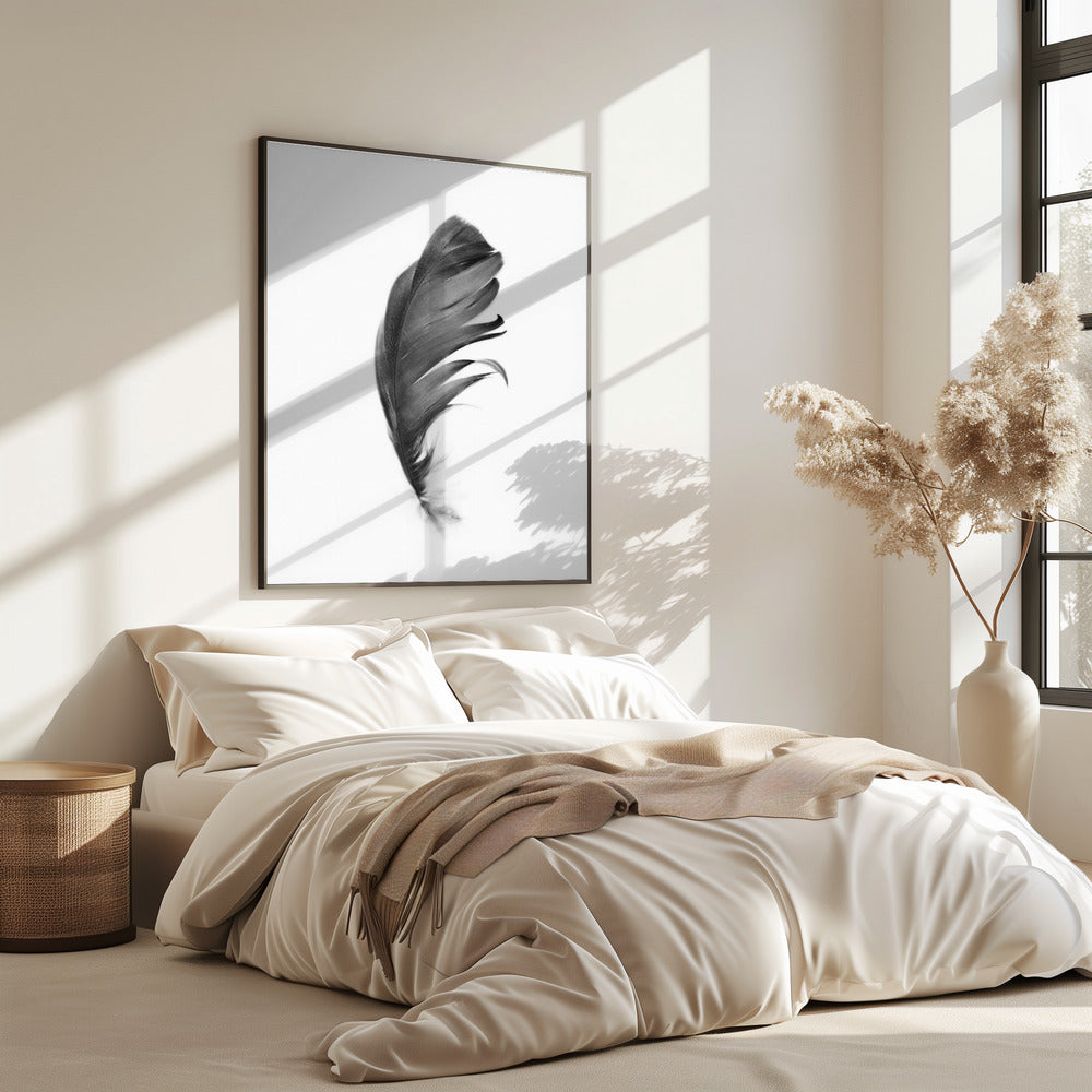 Feder | Poster
