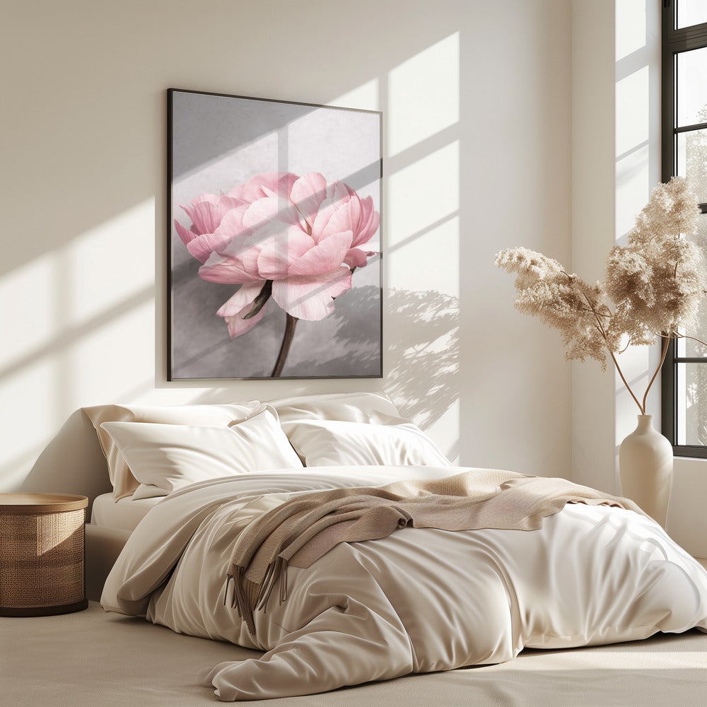Peony | Poster