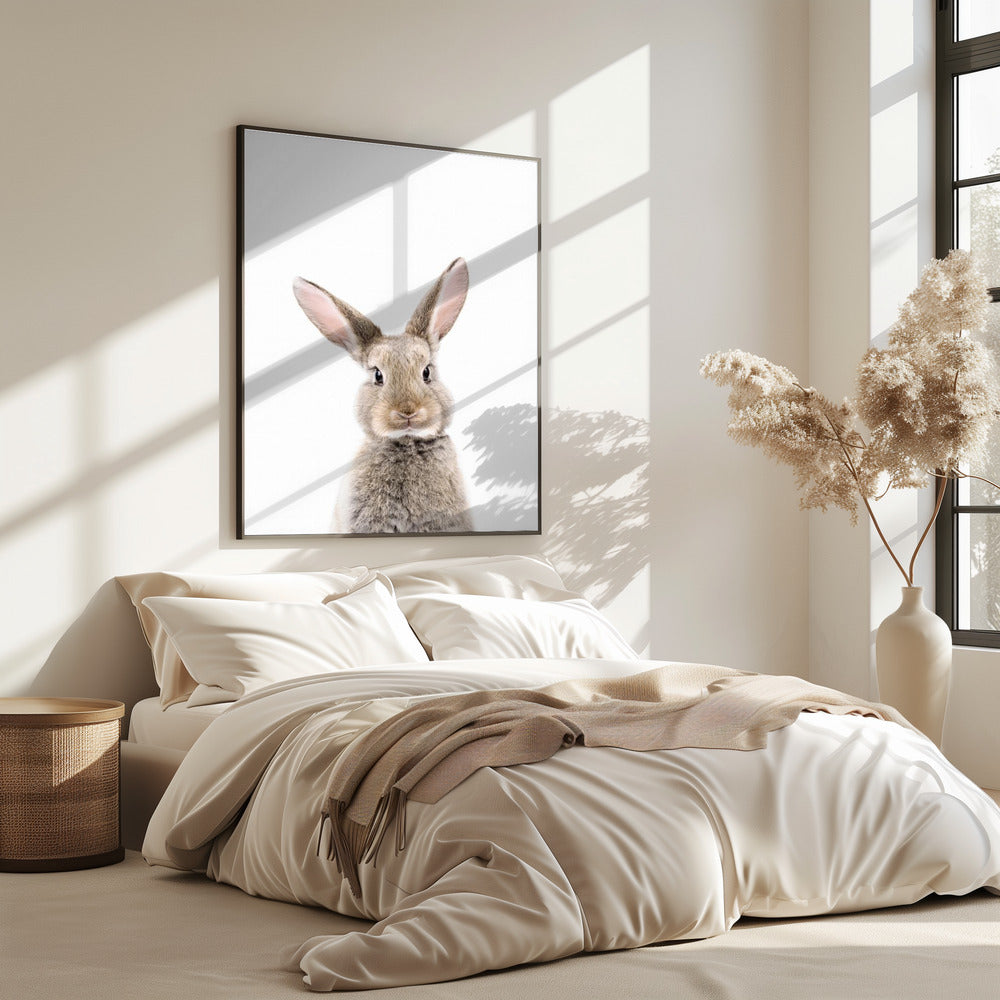 Baby-Kaninchen | Poster