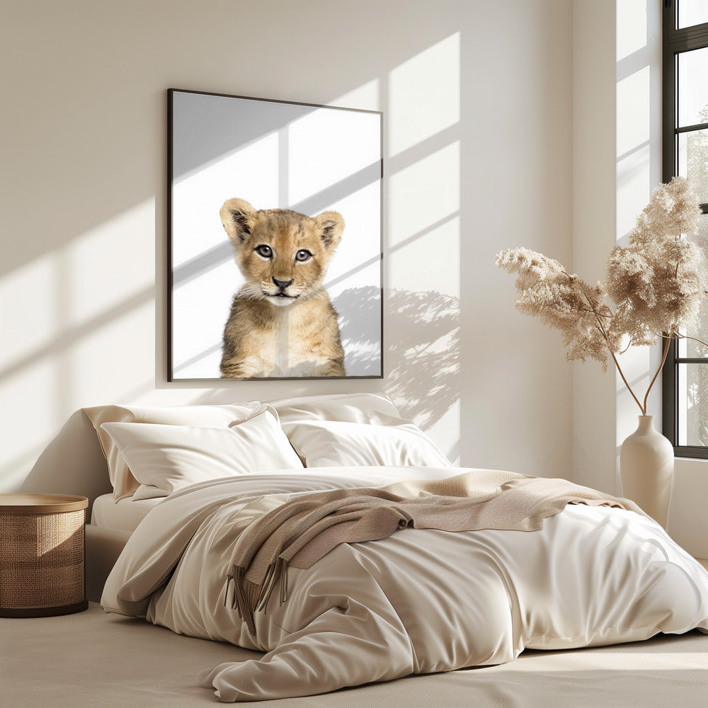 Baby Löwe | Poster