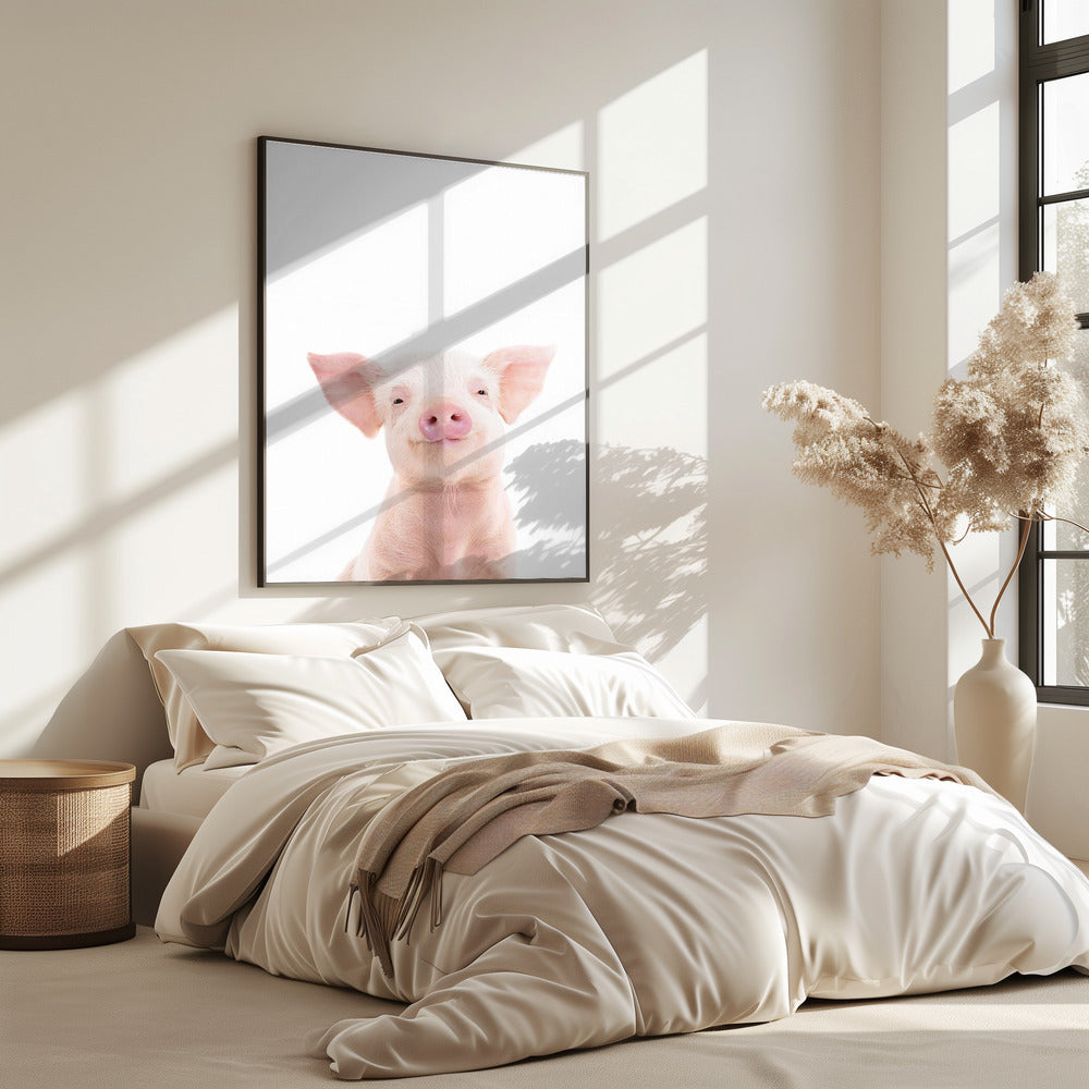 Babyschwein | Poster