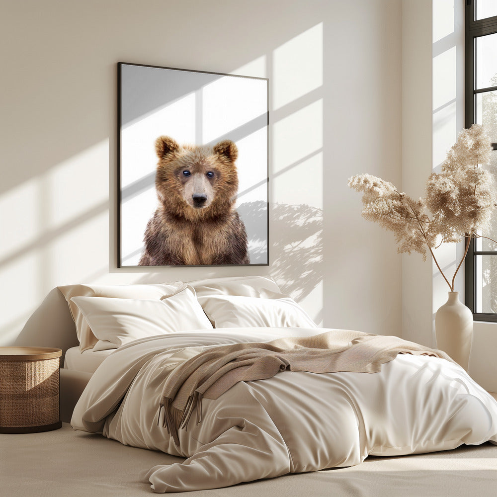 Babybär | Poster