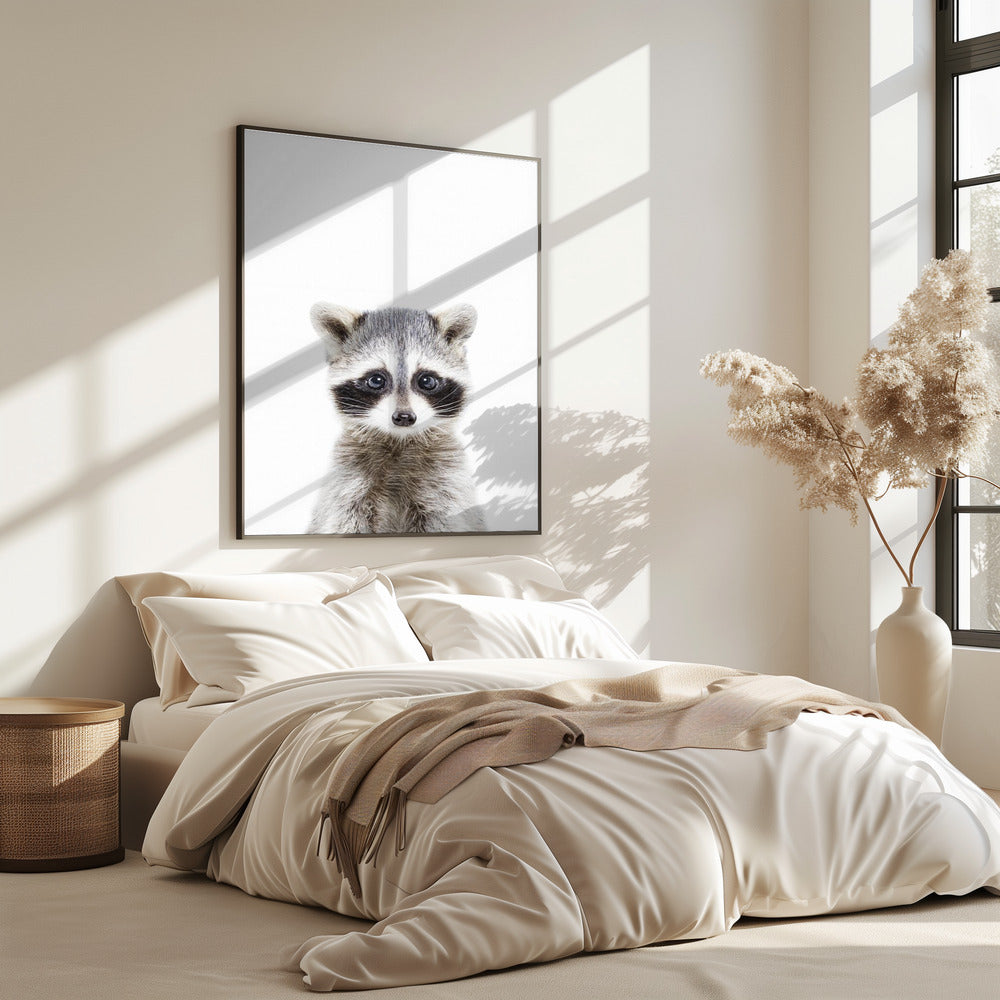 Baby Waschbär | Poster
