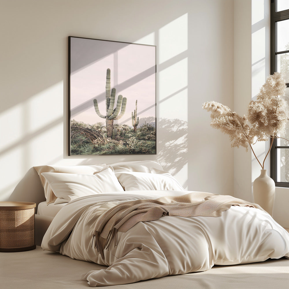 Rosa Saguaro | Poster