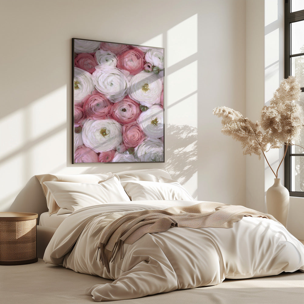 Verstreute Ranunkeln in gedecktem Rosa II | Poster