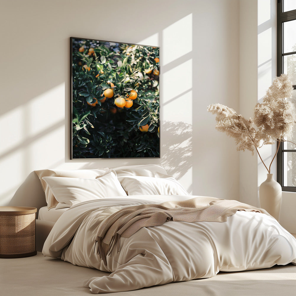 Marrakesch Orangen | Poster