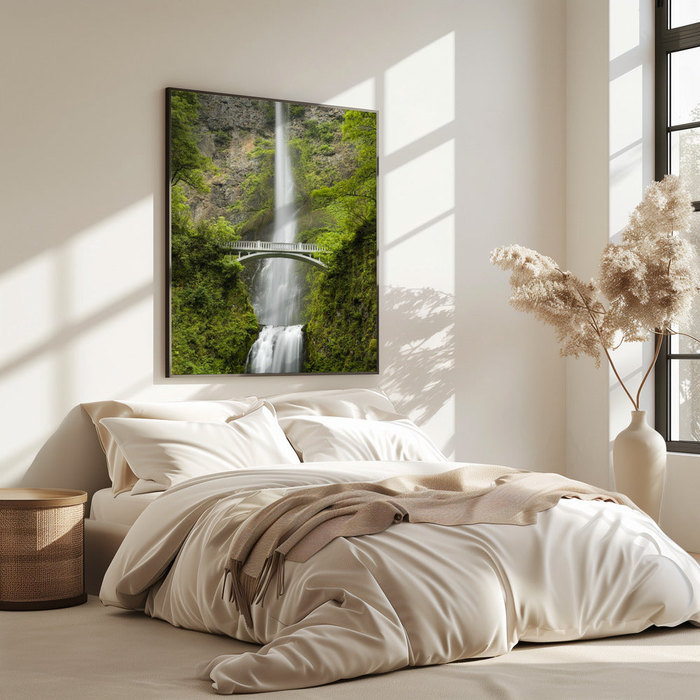 Soft Tail | Poster