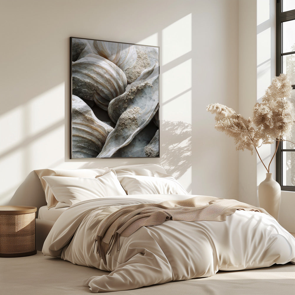 Shell Symphony | Poster