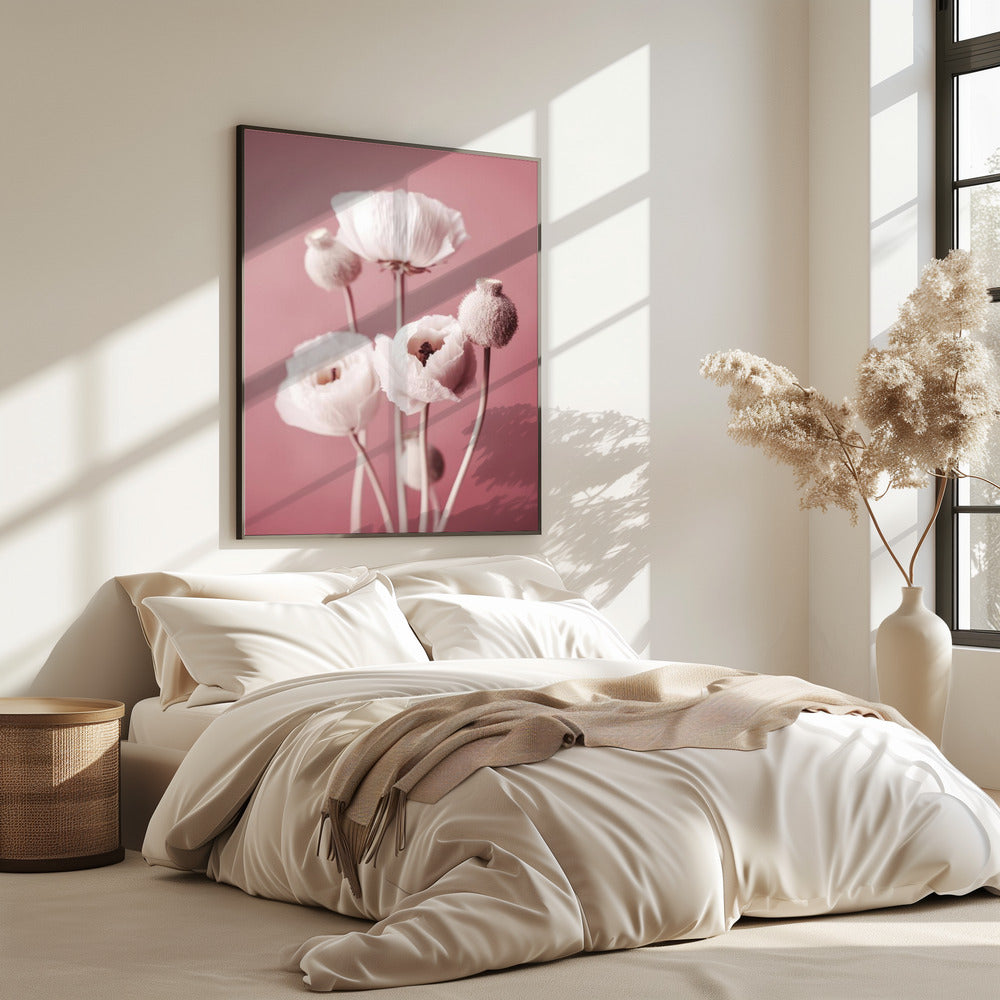 Soft Blooming Poppies | Poster