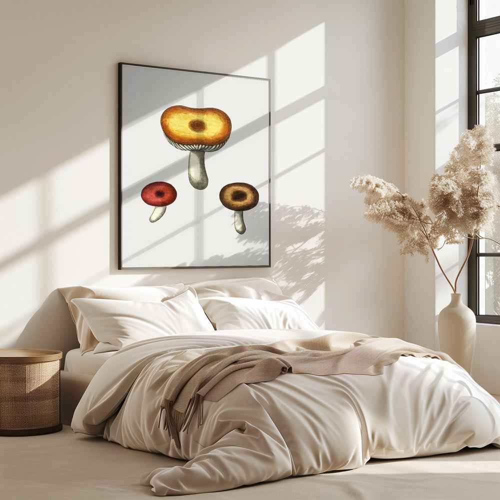 Hand Drawn Galerina Mushroom | Poster