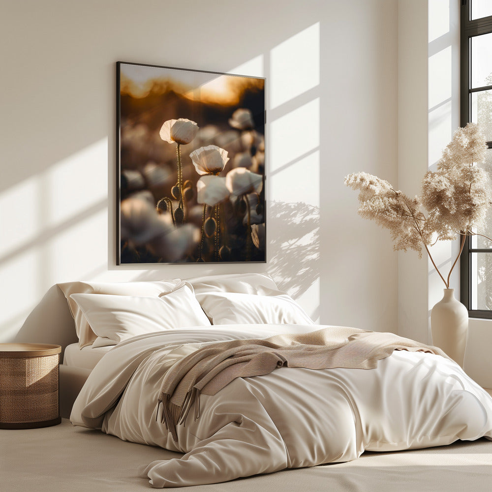 Goldene blühende Morgendämmerung | Poster