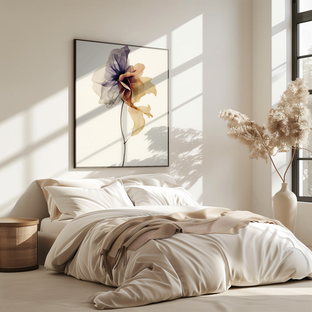 Chiffonblume | Poster