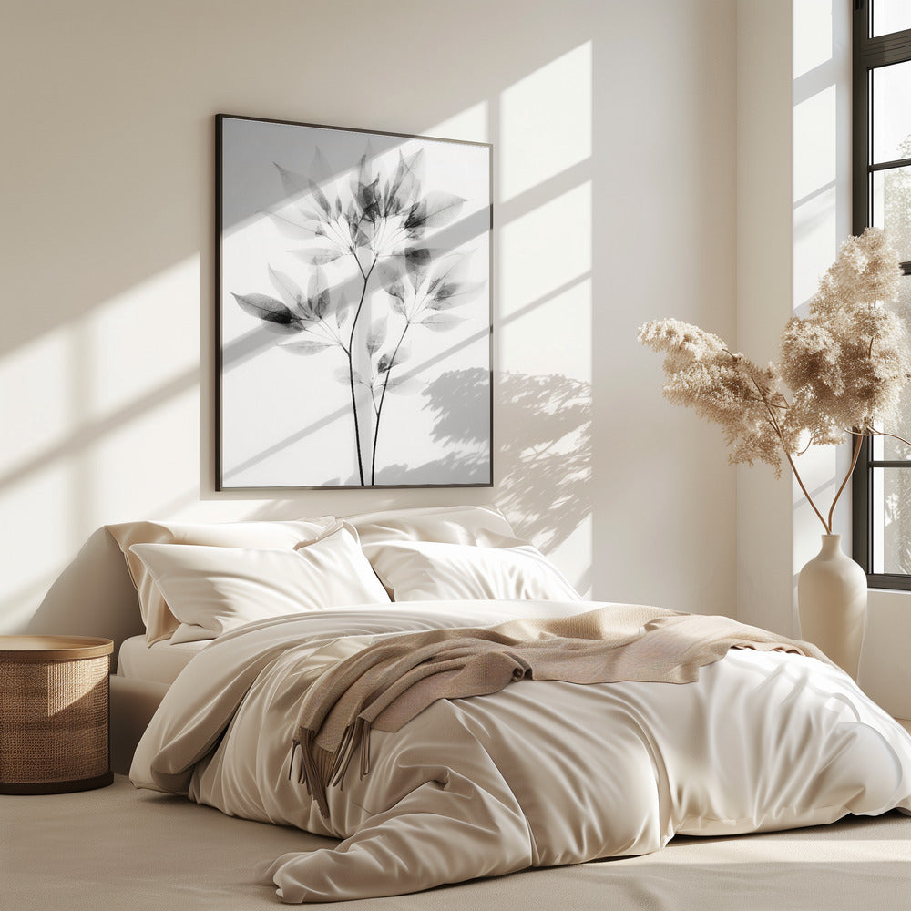 Transparent Leaves | Poster