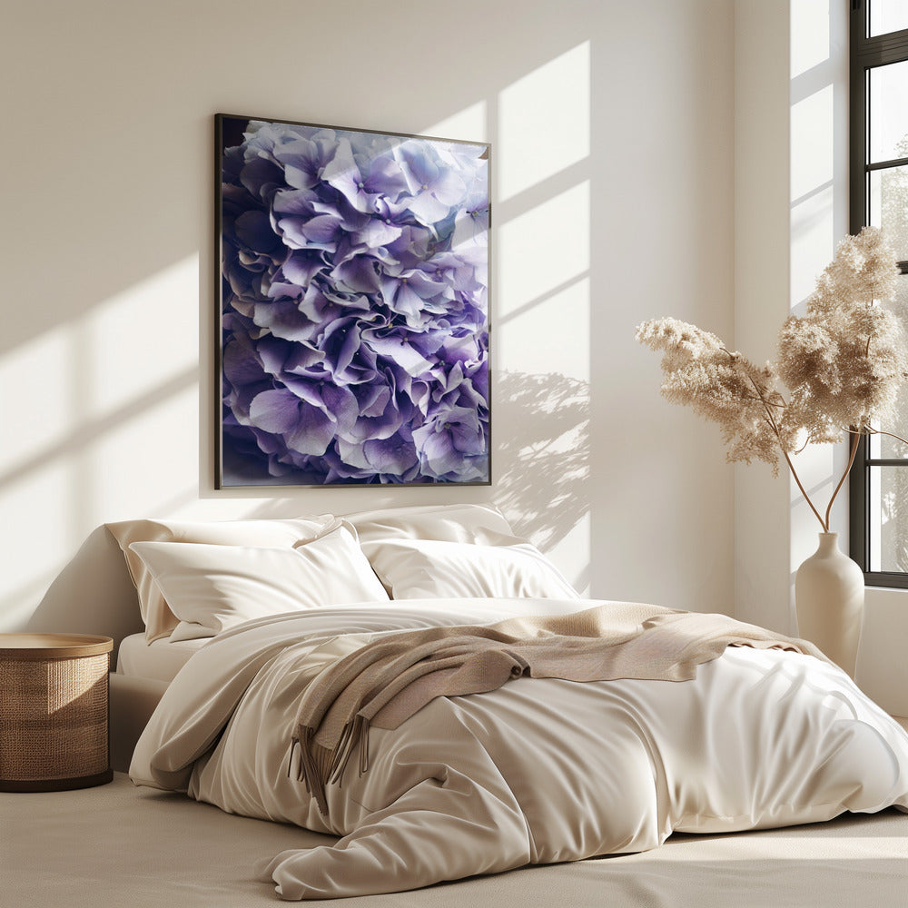 Vibrant Purple Hydrangea Flowers | Poster