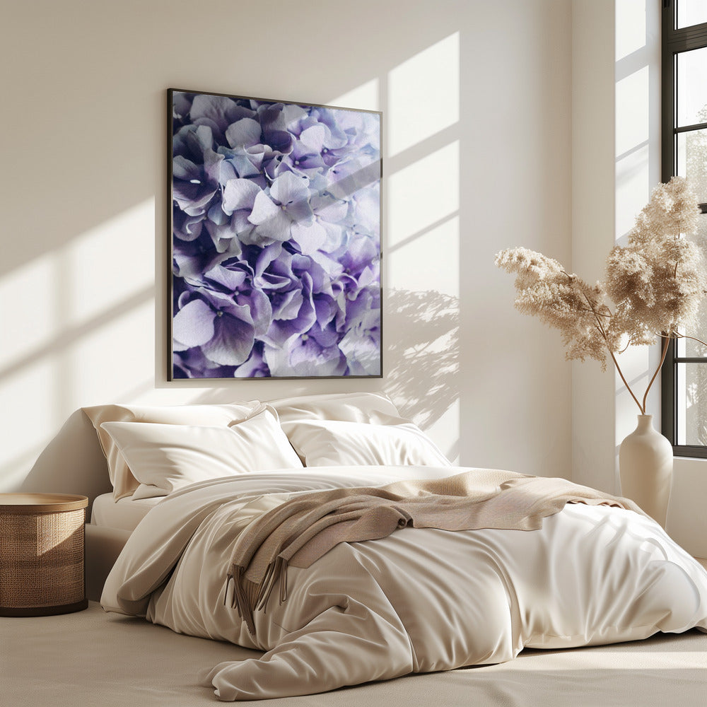 Vibrant Purple Hydrangea Flowers | Poster