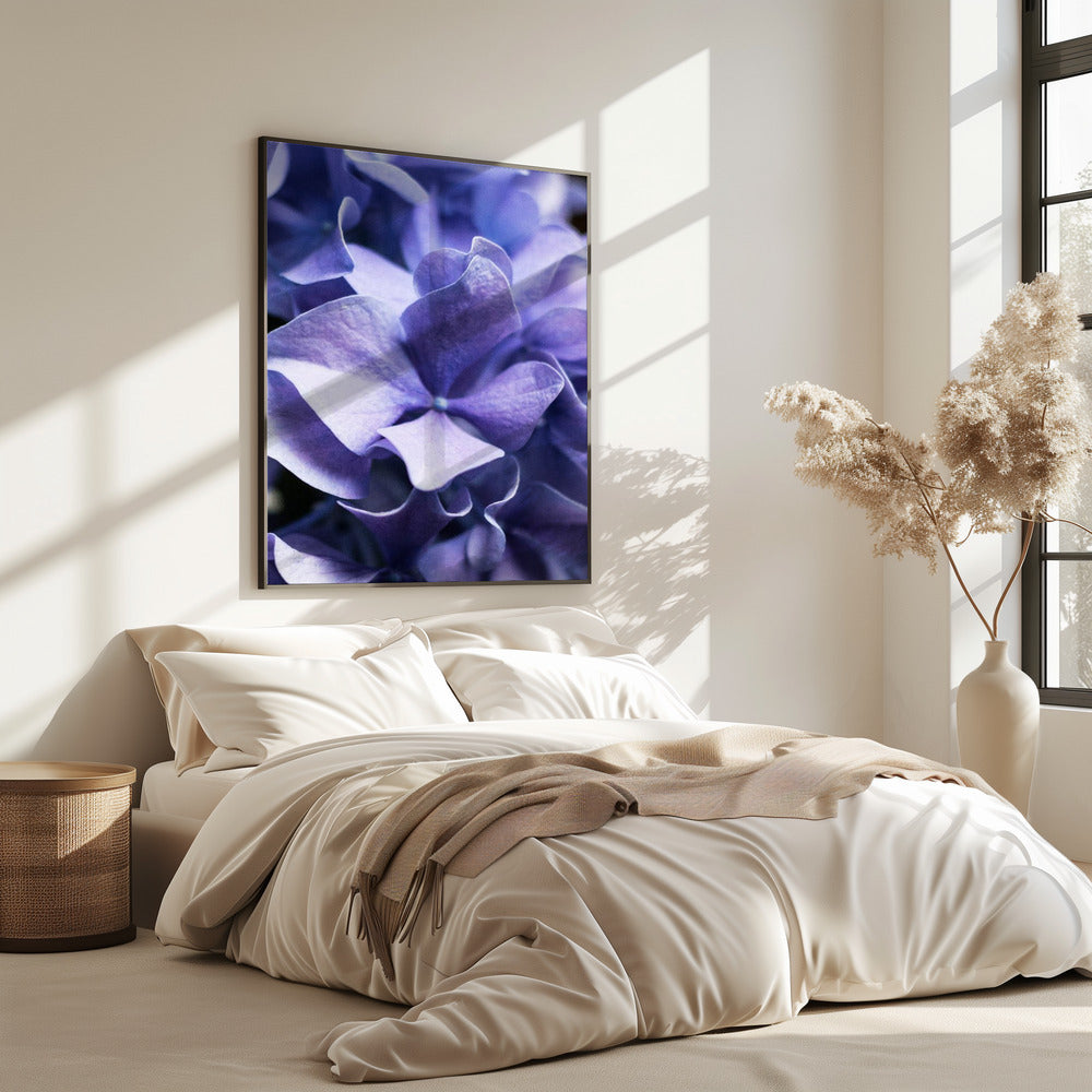 Delicate Purple Hydrangea Petals | Poster