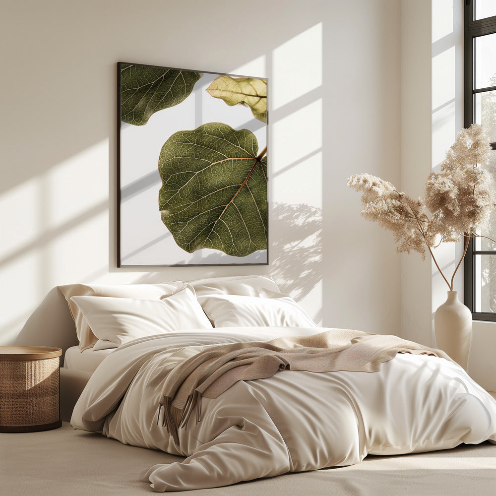 Leaf Vein Tapestry | Poster