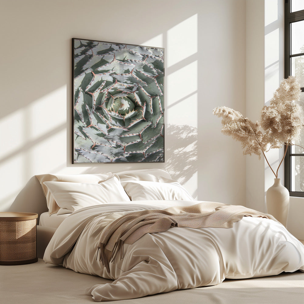 Spiralförmiges Sukkulenten-Labyrinth | Poster