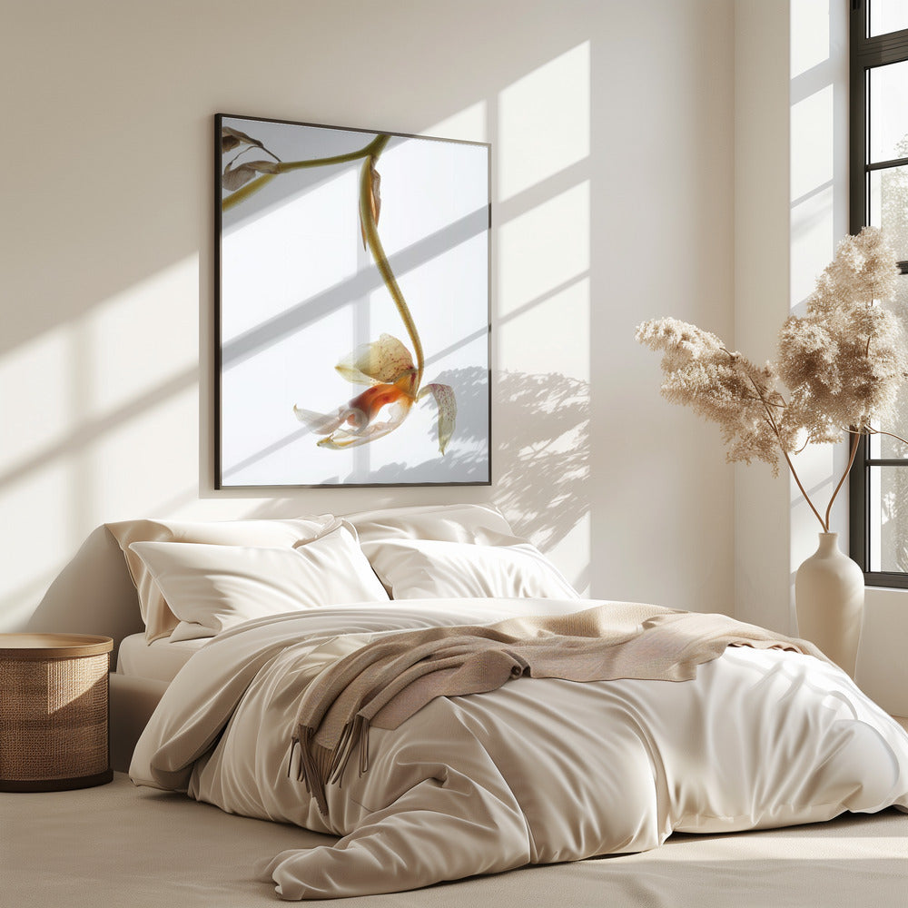 Eleganter Verfall | Poster