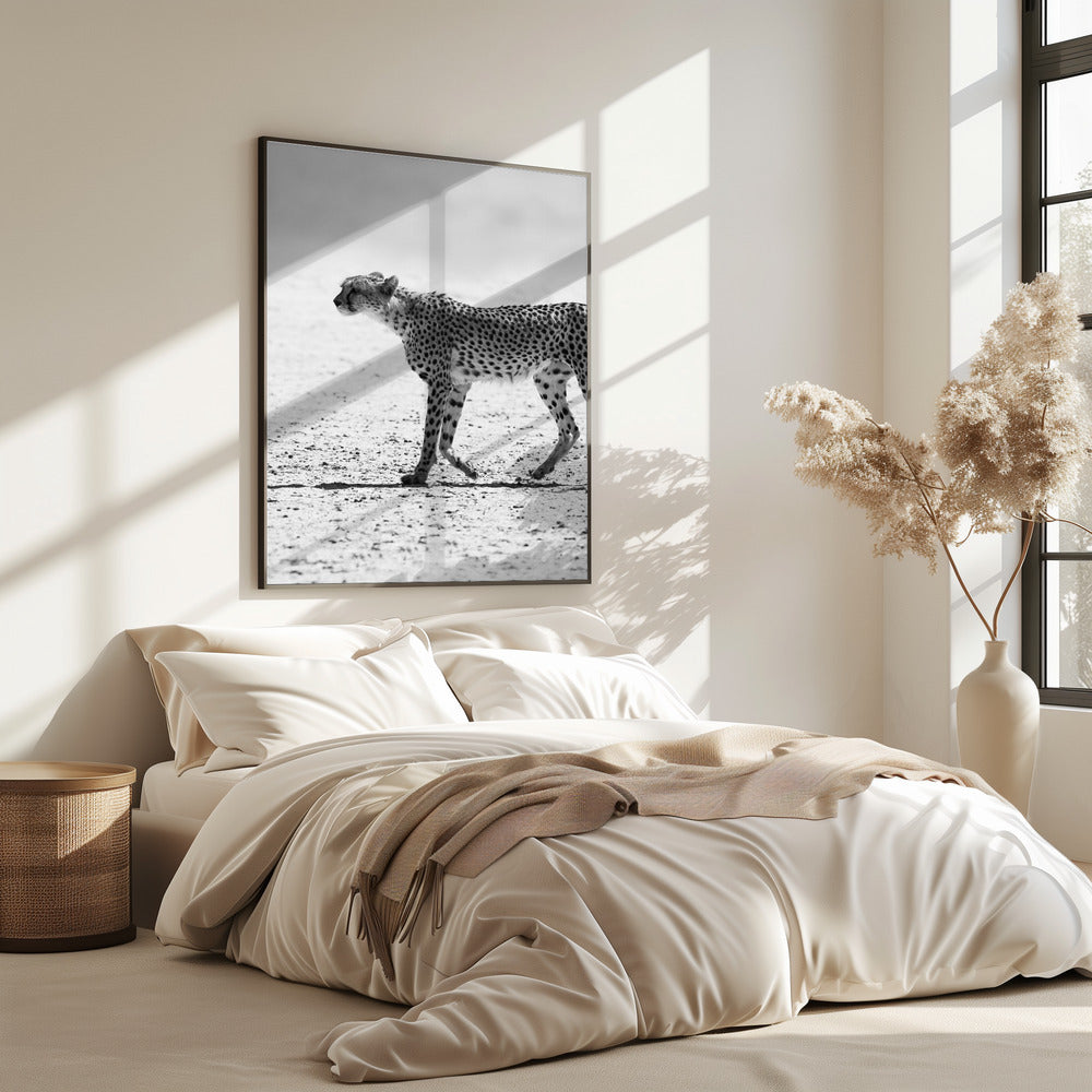 Stille Verfolgung | Poster
