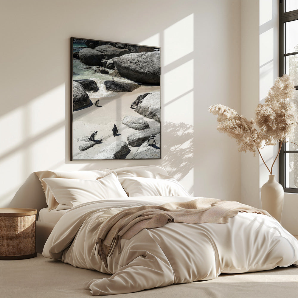 Pinguin-Strandspaziergang | Poster