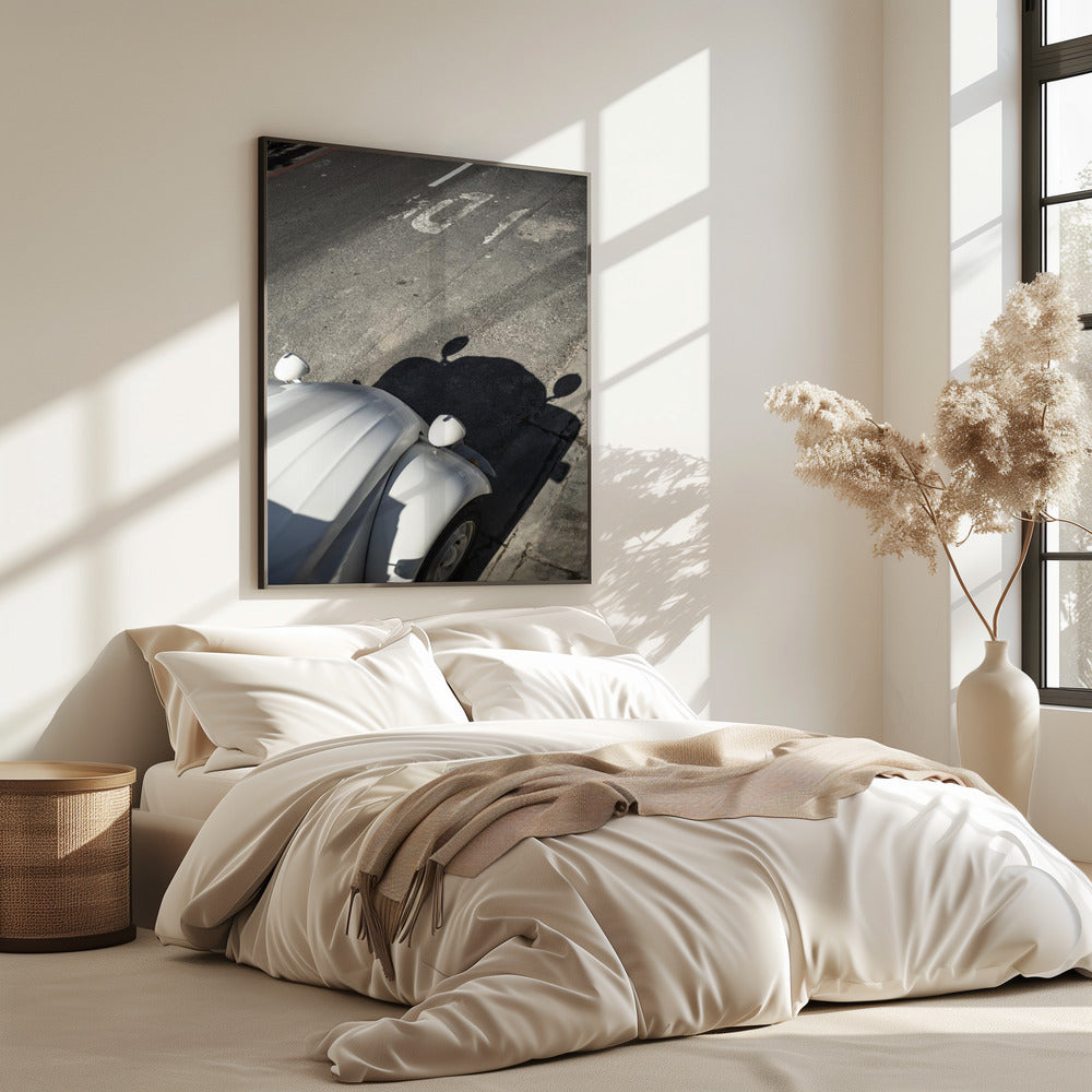 Klassische Kurvenschatten | Poster