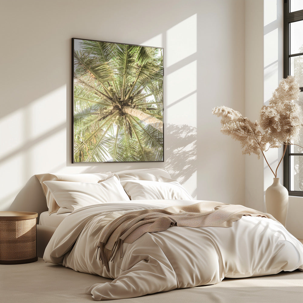 Coconut Canopy | Poster