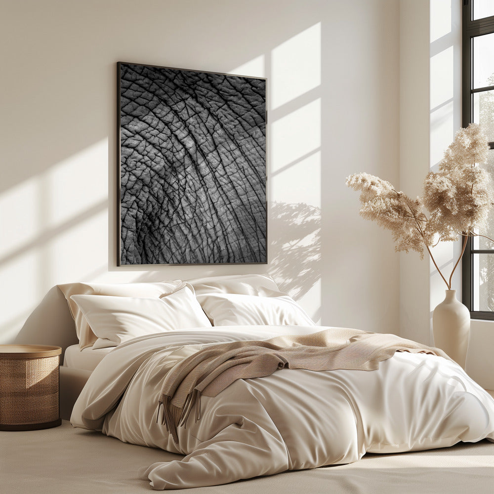 Elefantentextur | Poster