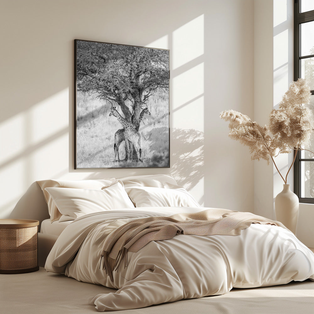 Unter afrikanischem Himmel | Poster