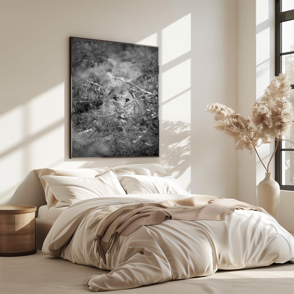 Hidden Majesty | Poster
