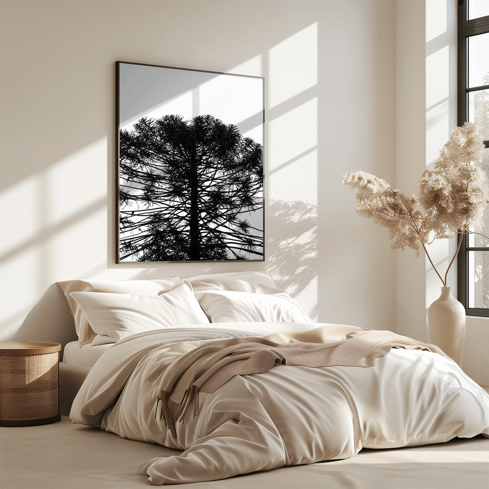 Silhouetten-Symmetrie | Poster