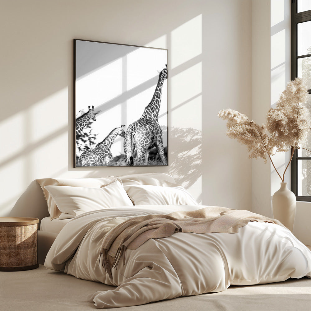 Giraffe Family Stroll | Poster
