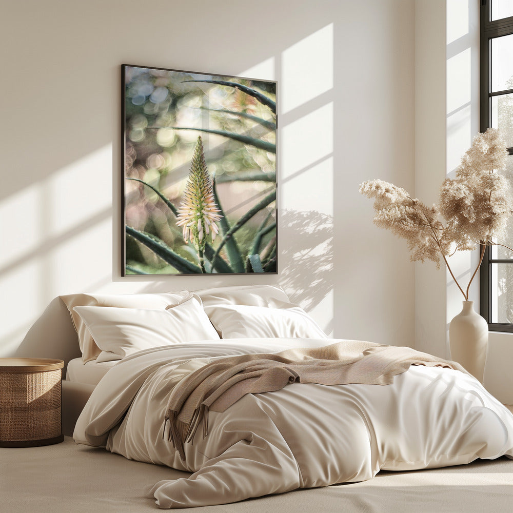 Succulent Serenity | Poster