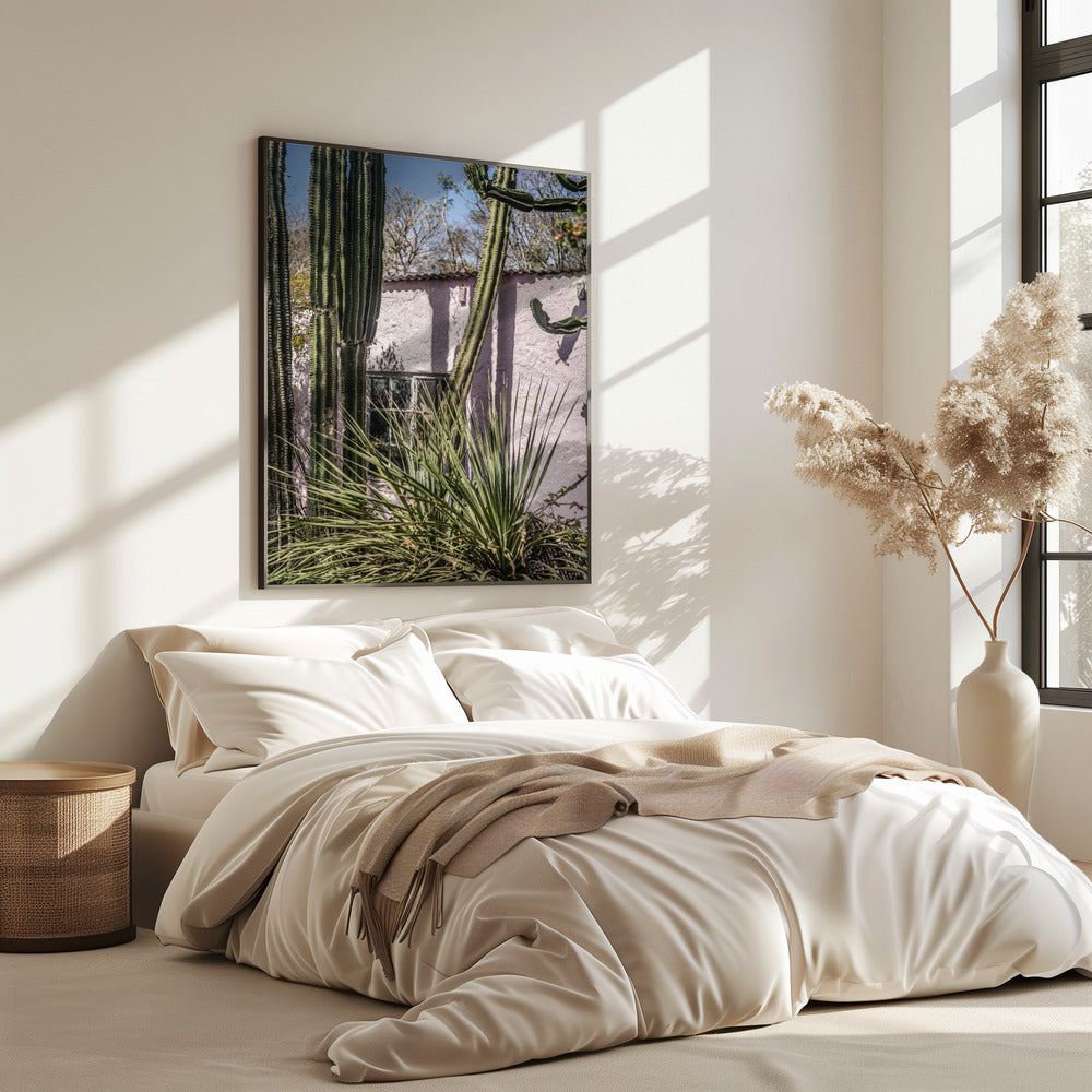 Cactus & Pink Wall | Poster