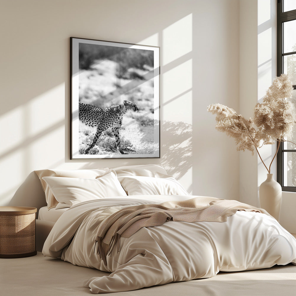 Ein laufender Gepard | Poster