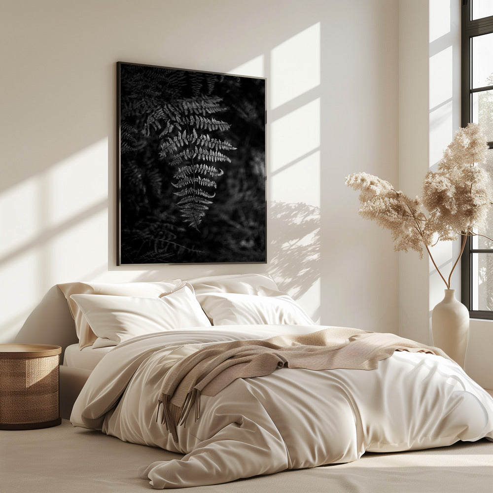 Silver Fern | Poster