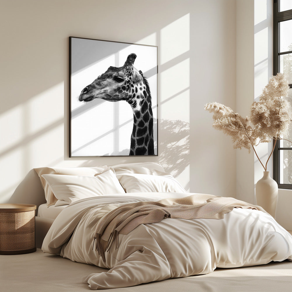 Intricate Patterns Of A Giraffe's Skin | Poster