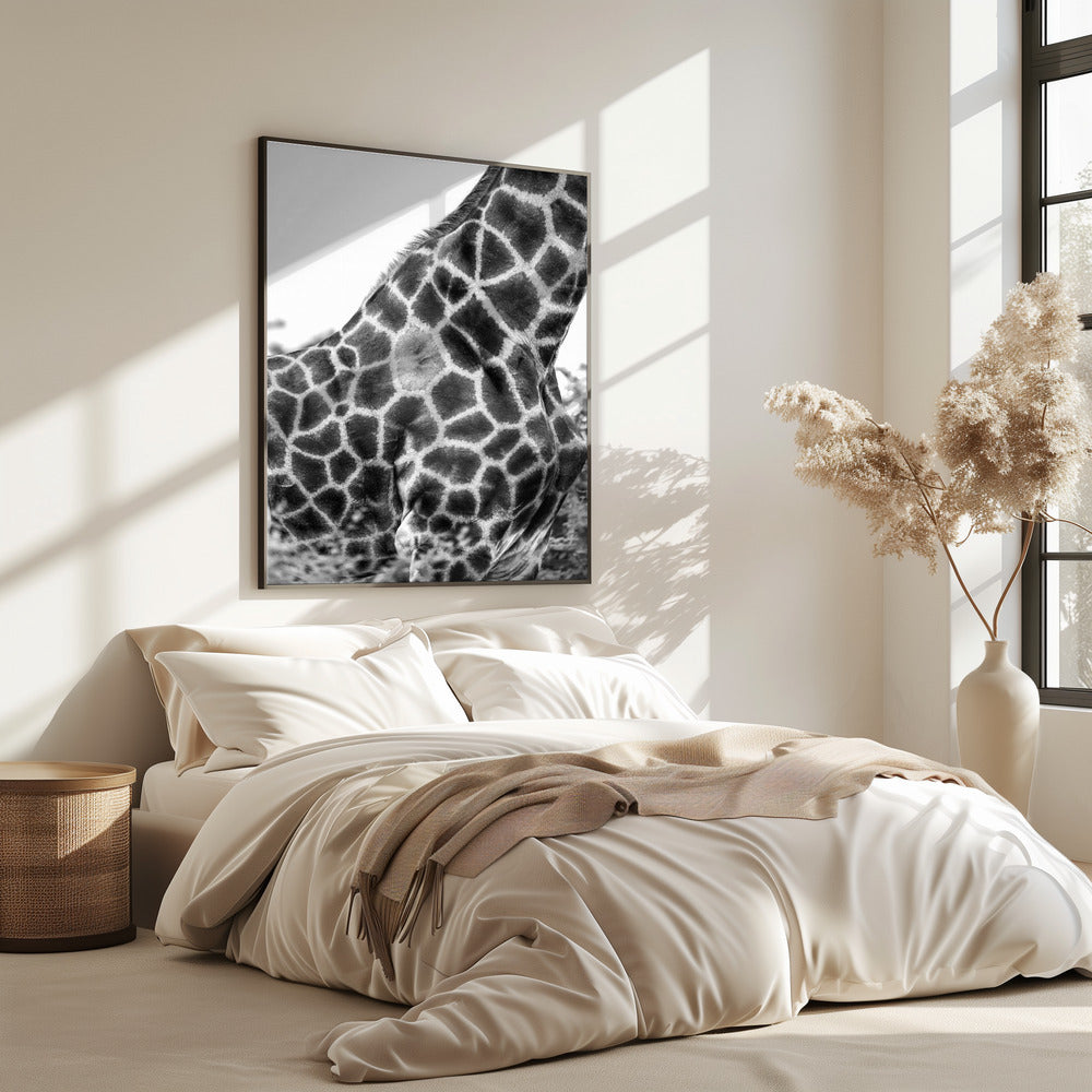 Komplizierte Muster der Giraffenhaut | Poster