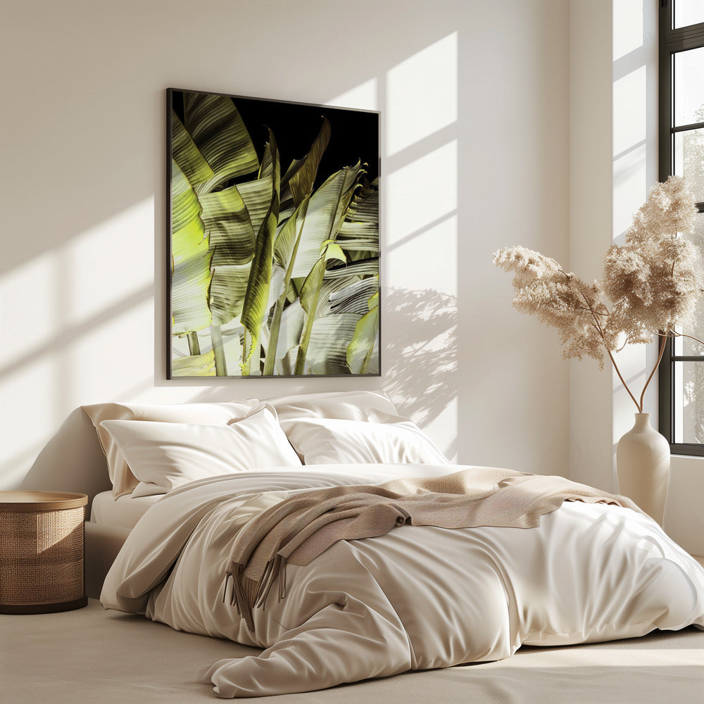Bananenblätter in sanfter Beleuchtung | Poster