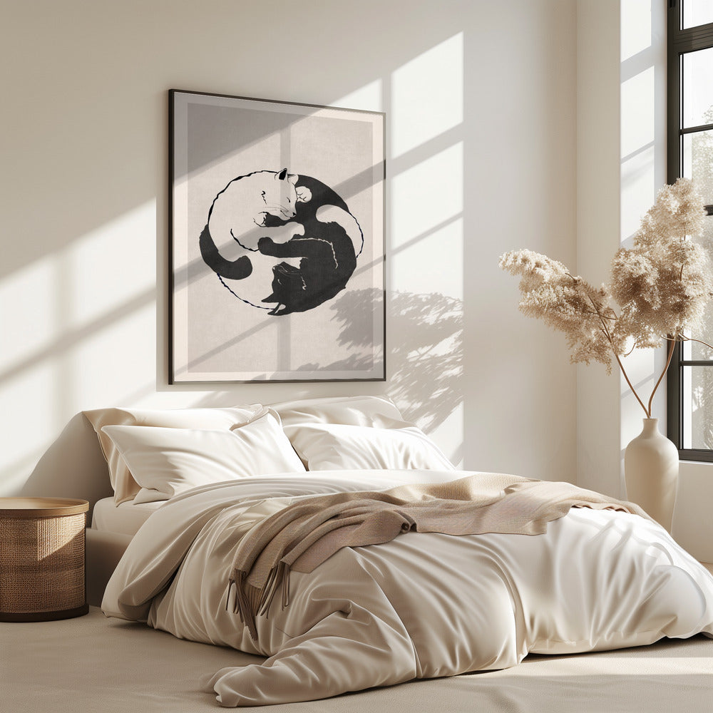 Katzenharmonie | Poster