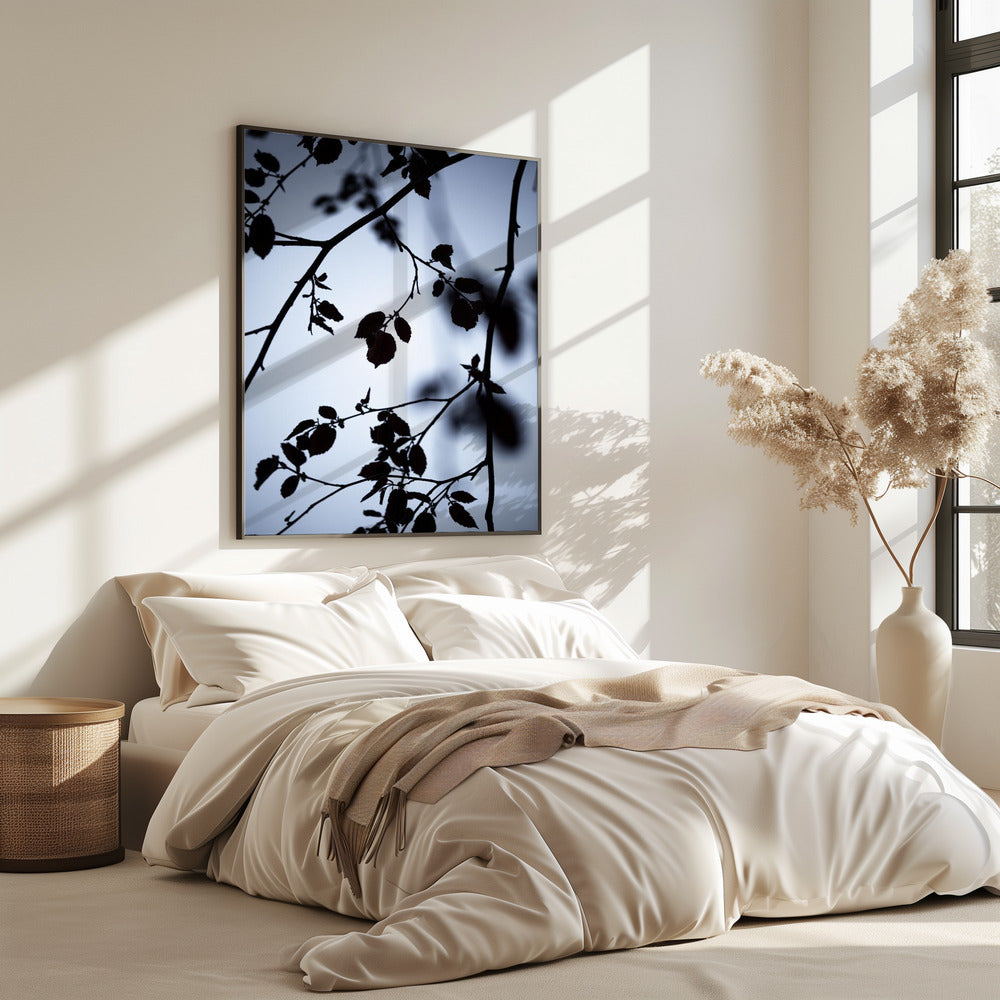 Morgengrauen | Poster